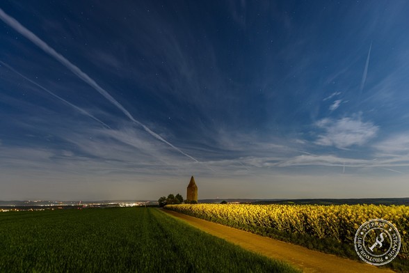 Canolafield