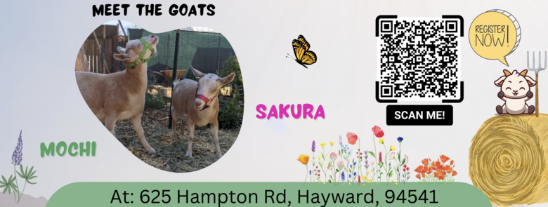 Join us this Saturday from 10 AM to 5 PM for the 'Bringing Back the Natives' event in Hayward!

Explore stunning garden spaces, meet friendly goats, and engage with like-minded native plant enthusiasts at Plantify.org.

Don't miss the chance to see a unique California native plant garden designed by both an artist and a plant scientist.

Discover more about this inspiring community and event here: Plantify.org

Mark your calendar for a day of fun, learning, and connection!

#NativePlantLovers #earthdayeveryday #ForestrGreens 