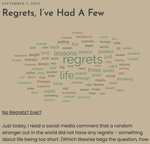 Pam Portland's blog post titled "Regrets, I've Had A Few"