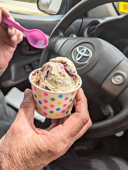 Image shows a dish of blueberry pie ice cream.