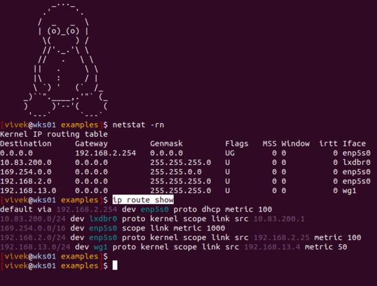 This screenshot shows commands that displays routing table on Linux, macOS and FreeBSD/OpenBSD/NetBSD or Unix-like systems.