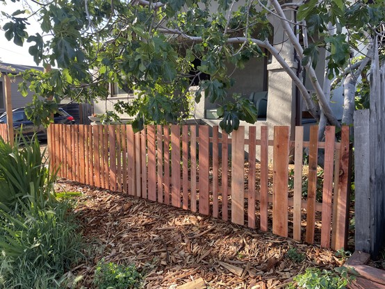 Redwood fence in front of a house