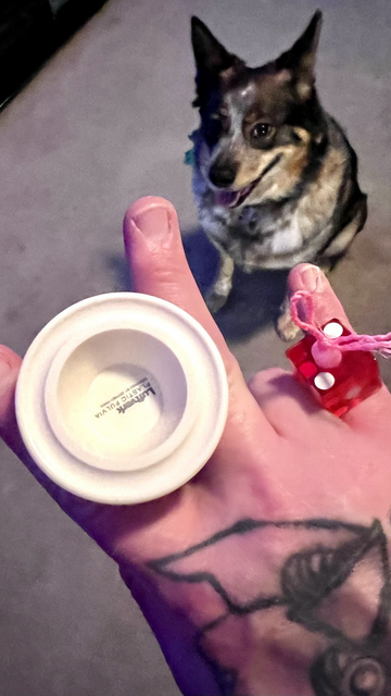 A white Luftverk Plastic Fluvia, set up for freehand (5A) play with a red casino die. A blue healer named Gemma is sitting in the background. 