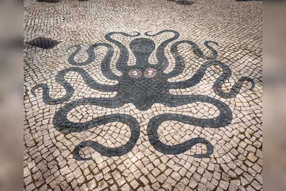 A photograph of calçada Portuguesa depicting an octopus