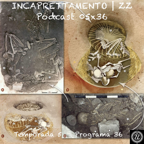 INCAPRETTAMENTO | ZZ Podcast 05x36
El incaprettamento es una técnica de ejecución de la Mafia siciliana para eliminar a los traidores. La técnica no es novedosa. De hecho en las excavaciones neolíticas se han descubierto enterramientos en los que esta práctica se ha observado y se piensa que forma parte de un ritual. El incaprettamento es una técnica mediante la cual la víctima es amarrada con sus piernas manos y por el cuello con el fin de estrangularles.
https://luisbermejo.com/incaprettamento-zz-podcast-05x36/
#antropología #arqueología #biografía #cine #crítica #filmografía #filosofía #historia #incaprettamento #lenguaje #mentiras #neolítico #película #realidad #reseña #Rose Glass #sangre en los labios #tony scott #verdades #podcast #ZZPodcast 