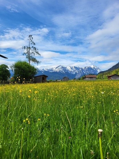 A picturesque scene of a field filled with vibrant yellow flowers, bordered by lush green grass and a row of tall trees. In the distance, a cluster of buildings can be seen against a backdrop of a clear blue sky with fluffy white clouds. The dominant colors in the image are yellow and green, with accents of dark green. The landscape is expansive, with mountains faintly visible in the background. The image evokes a sense of tranquility and natural beauty, capturing the essence of a rural area in…