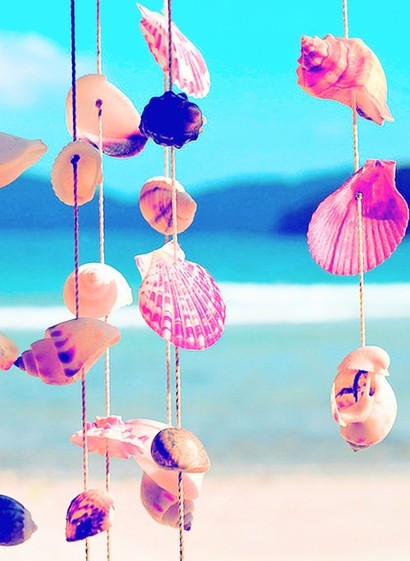Sea shell wind chime 