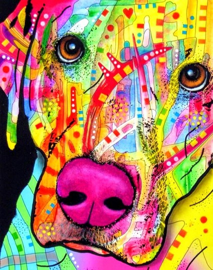 Wild pattern whimsical dog