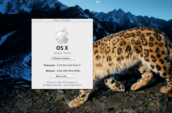 Screenshot of OS X Snow Leopard wallpaper desktop with "About This Mac" window showing updated RAM of 8GB (double the previous 4GB) and the maximum that this particular model MacBook Pro will allow. 

The About This Mac window hovers artfully over the head of the famous Snow Leopard wallpaper. The elusive Snow Leopard eludes us still! 