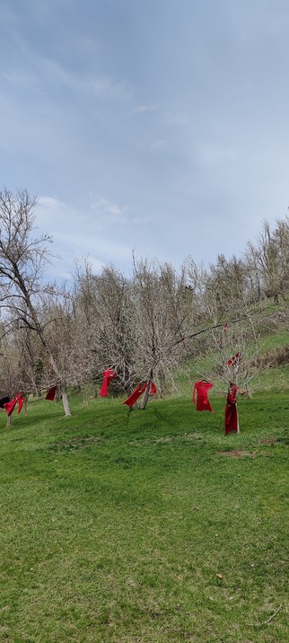 red dresses hanging on trees honoring missing and murdered indigenous women, children, and two spirit peoples across this land #reddressday #mmiw2s