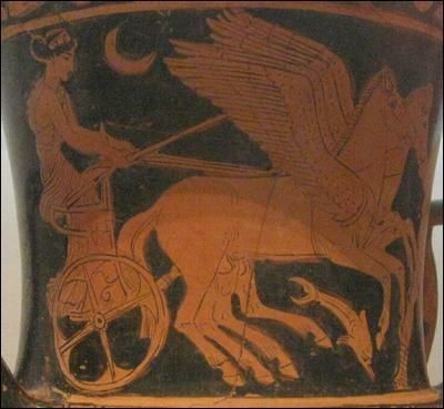 Red figure vase painting of Selene in her chariot pulled by winged horses. She is holding a riding crop and the reins in her hand. Below her horses, a fish or dolphin leaps, showing that she is rising from the ocean.