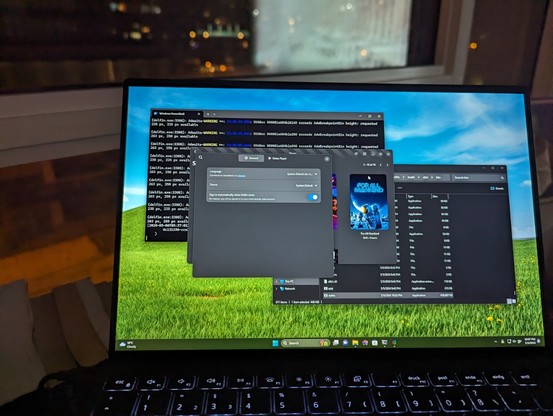 Screenshot of Delfin running on Windows 11