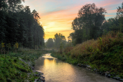 The river Emscher, which served as an open sewer for the entire 20th century, has been cleaned up in a 30-year restoration project. The view follows a stretch of the river into the distance, with dense vegetation lining the riverbanks. Light clouds in the distance are coloured yellow and pink by a setting (or possibly rising) sun and reflected in the water (Photo: Eselsmann™, Wikimedia Commons (CC BY 2.0 Deed).)