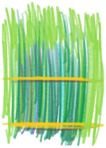 Arashiyama Bamboo Grove Forest