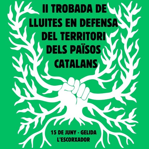 Cartell acte