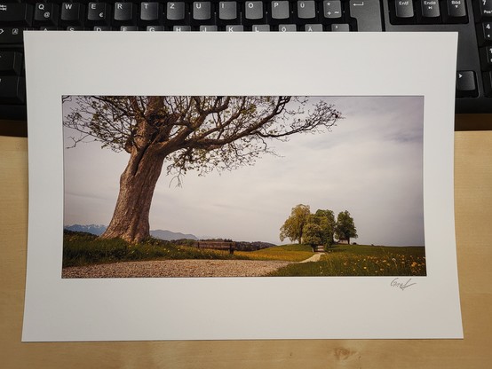 A stunning image of a tree placed on a computer keyboard is captured in this photograph. The tree, with a dominant color of brown, stands out against the white background of the keyboard. The image showcases a creative juxtaposition of nature and technology. The tree is depicted in two different positions on the keyboard, one on the right side and another on the left side, adding a unique and artistic touch to the composition. 
