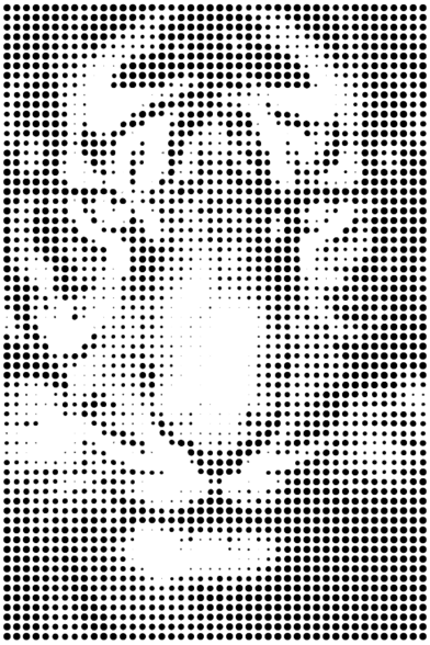 Halftone version: black dots on white, dots being bigger where original image is darker.