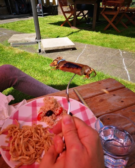 En arrière plan un teckel est couché dans le gazon. Au premier plan, une assiette d'enfant sur une table de jardin. La photo est prise du point du vu de l'enfant. Une main tient une fouchette qui a piqué un morceau de saucisse blanche. La fourchette est levée et le morceau de saucisse se superpose au long corps du teckel qui est couché en arrière plan. On a l'illusion qu'un petit Teckel avec un corps de saucisse se trouve au bout de la fourchette