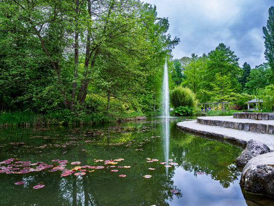 Teich mit Springbrunnen auf der Insel Mainau. 