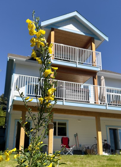Yellow flowers in the foreground with a multi-story house featuring balconies in the background on a sunny day.