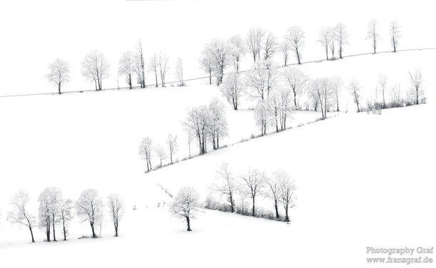 A serene winter scene is depicted in this image, showcasing a group of trees standing tall in a snowy landscape. The trees are covered in a blanket of white snow, creating a picturesque and peaceful setting. The dominant colors in the image are white, with accents of a dark gray shade. The image is in black and white, emphasizing the wintry atmosphere. The tags associated with the image include keywords such as tree, landscape, snow, winter, freezing, and nature, highlighting the seasonal theme…