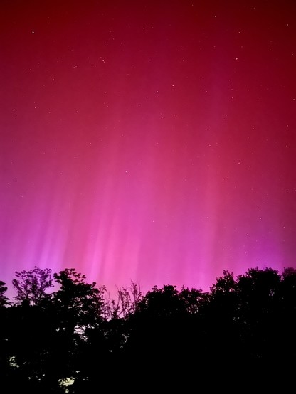 Photo prise de mon jardin. Ciel de nuit, rose fluo. On aperçu les rayons de l’aurore boréale. 