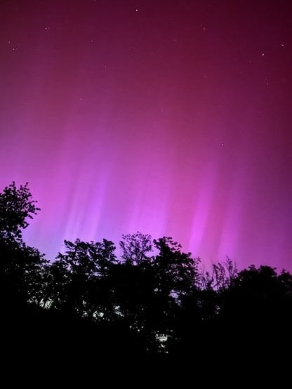 Photo prise de mon jardin. Ciel de nuit, rose fluo. On aperçu les rayons de l’aurore boréale. 