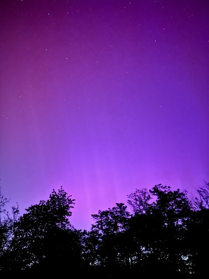 Photo prise de mon jardin. Ciel de nuit, rose fluo. On aperçu les rayons de l’aurore boréale. 