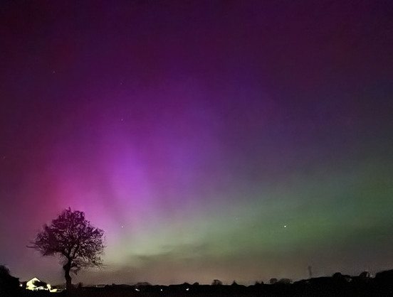 Polarlichter am Himmel. Farben von violett, rötlich bis grün. Silhouetten von Häusern und einem Baum zu sehen. Nachtaufnahme