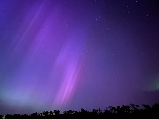 Polarlichter am Himmel. Violett bis grünlich. Im Hintergrund Silhouetten von Bäumen. Nachtaufnahme
