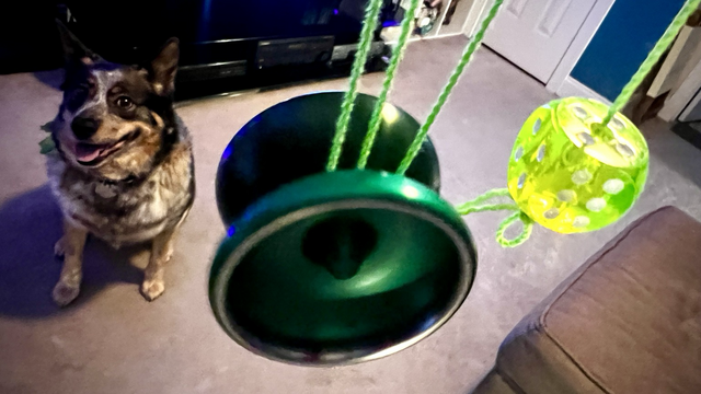 A green Hspin Good And Evil 3, set up for freehand (5A) play with green string and a transparent yellow counterweight. Loving room in background and a blue heeler named Gemma sitting and being good. 