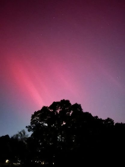 Pink Aurora streaks of varying intensity going downwards from left to right at about a 60° angle, lower on the horizon into tree cover.