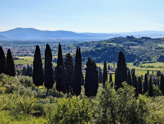 View over Prato. Cypress trees in the foreground.