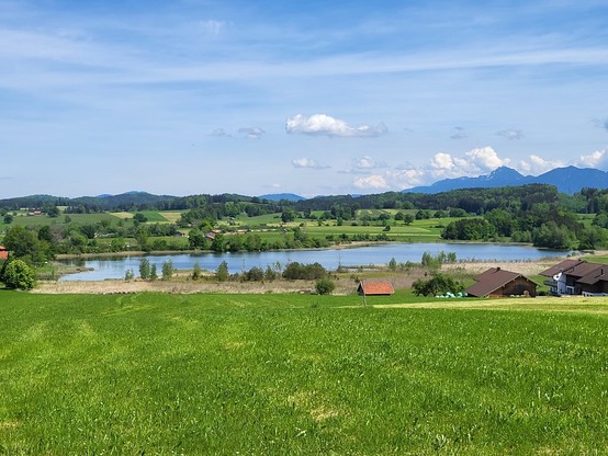 A tranquil scene is captured in this image, showcasing a large grassy field stretching out in the foreground. In the background, a serene lake glistens under the sunlight, reflecting the surrounding mountains. The landscape is adorned with various shades of green, from the lush grass to the trees dotting the scenery. A clear blue sky with fluffy clouds adds to the picturesque view. The setting appears rural and idyllic, evoking a sense of peace and tranquility. This breathtaking landscape embod…