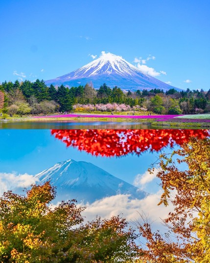Spring and Autumn at Mount Fuji in Japan