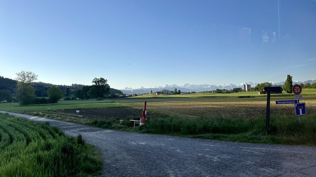 Stahlblauer Himmel über grün/goldenen Feldern und Wiesen. Vorne der teilweise feuchte Kiesweg, weit hinten die Berner Alpen.