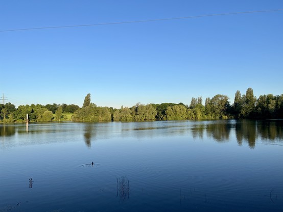 Rather boring shot of a lake, green trees fill up the horizon. 