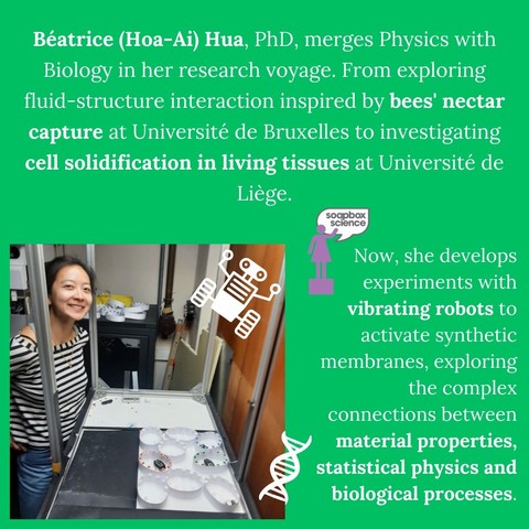 Photo of Béatrice (Hoa-Ai) Hua in the lab with the following text: 
"Béatrice (Hoa-Ai) Hua, PhD, merges Physics with Biology in her research voyage. From exploring fluid-structure interaction inspired by bees' nectar capture at Université de Bruxelles to investigating cell solidification in living tissues at Université de Liège. Now, she develops experiments with vibrating robots to activate synthetic 
membranes, exploring the complex connections between material properties, statistical physics and biological processes." 