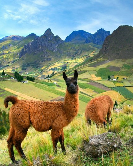 Ecuadorian Andes
