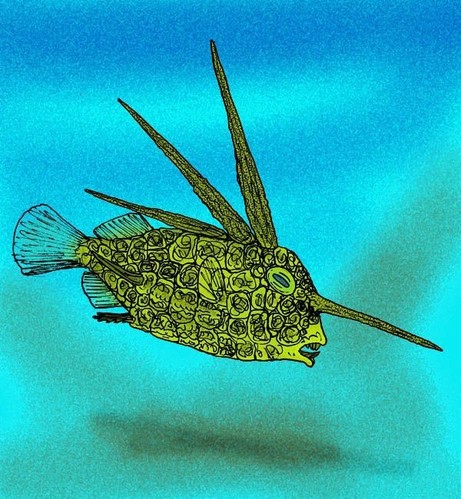 Pez con tres largas espinas dorsales y una más en el rostro.