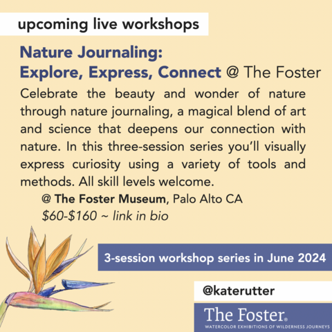 Flyer for Palo Alto nature journaling workshop, hosted at The Foster Museum. 3-part series for $160, or attend individual sessions for $60 each. 