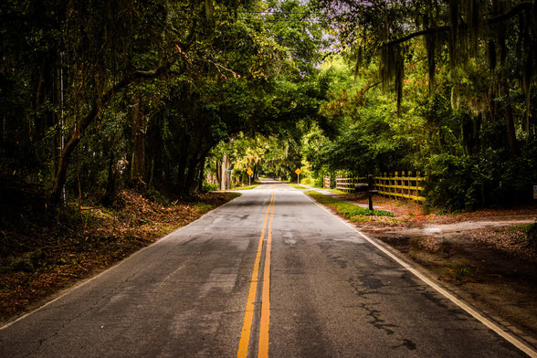 A photo of a suburban road taken from the middle of the road.  The road goes into the distance under a canopy of grand oaks and Spanish moss. 