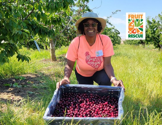 🌳🍎🍊 Huge shoutout to our incredible ForestR Contra Costa Fruit Rescue team!

https://www.forestr.org/fruit-rescue/

🎉 Since 2023, they have collected an astounding 91,876+ lbs of local fruits, with 31,420+ lbs gathered in 2024 alone!

Your dedication and hard work are making a significant impact on our community, reducing food waste, and providing fresh produce to those in need. 🍑🍐🥭

Thank you to all our volunteers, supporters, and partners who make this possible. Together, we’re creating a healthier, more sustainable future! 🌿💚

#ForestrOrg #FruitRescue #CommunityImpact #Sustainability #FoodRescue #ContraCosta #HealthyLiving #VolunteerAppreciation