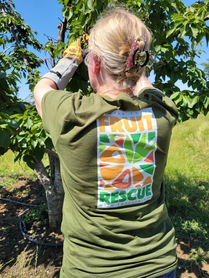🌳🍎🍊 Huge shoutout to our incredible ForestR Contra Costa Fruit Rescue team!

https://www.forestr.org/fruit-rescue/

🎉 Since 2023, they have collected an astounding 91,876+ lbs of local fruits, with 31,420+ lbs gathered in 2024 alone!

Your dedication and hard work are making a significant impact on our community, reducing food waste, and providing fresh produce to those in need. 🍑🍐🥭

Thank you to all our volunteers, supporters, and partners who make this possible. Together, we’re creating a healthier, more sustainable future! 🌿💚

#ForestrOrg #FruitRescue #CommunityImpact #Sustainability #FoodRescue #ContraCosta #HealthyLiving #VolunteerAppreciation