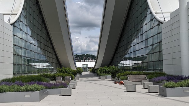 Rooftop with plants and benches