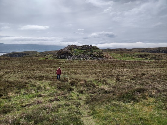 A knoll viewed across a boggy moor, its slopes covered with stones fallen from the once imposing tower. A human in a red coat is sloshing across the more to check it out.
