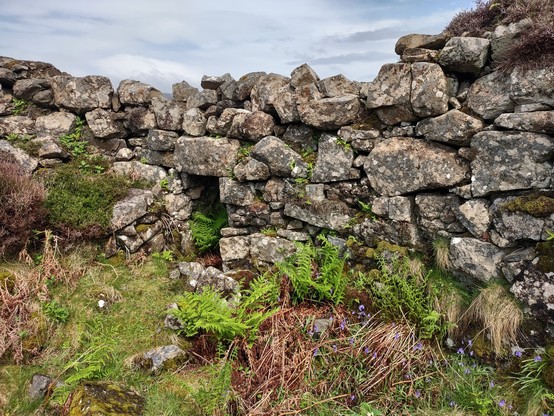 A curving stone wall, the original lower courses of the broch, with a small doorway to the outer wall. Inside is a small wild garden.