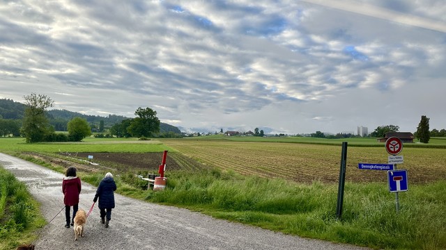 Zwei Personen gehen mit Hund und mit dem Rücken zum Betrachter den nassen Kiesweg entlang. Die Felder sind frisch gewaschen, die Wiesen satt grün. Die Berner Alpen vermutet man am Horizont, dicht eingepackt in eine Wolken- und Nebelwand. Am Himmel ganz wenig blau und viele weisse Wolken.