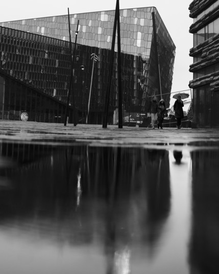 Black and white picture of the Harpa concert hall in Reykjavik. Three people, one with an umbrella, walking towards the camera. One carrying an umbrella. Reflection of the concert hall and the one with the umbrella is seen in a puddle.