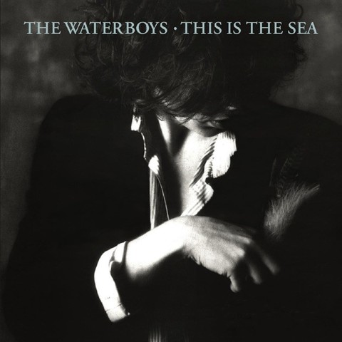 An image of the cover of the record album 'This Is the Sea' by Waterboys
